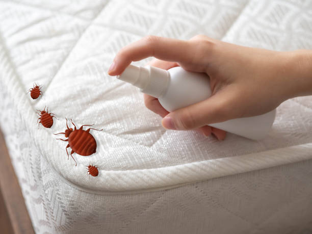 Best Pest Control for Multi-Family Homes  in La Center, WA